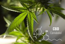 De beste cbd producten